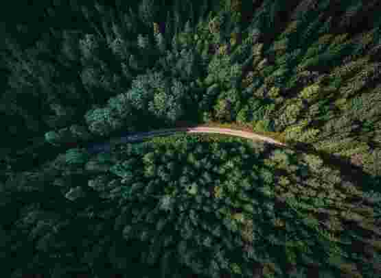 13 einfache Tipps für verantwortungsbewussteres Reisen